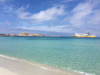 IMG_2377.JPG