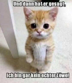 tAufzeichnen.JPG