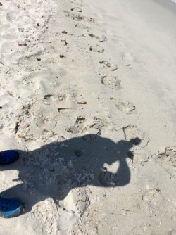 IMG_2379.JPG