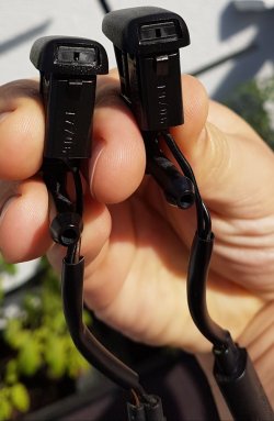20170520_084218.jpg