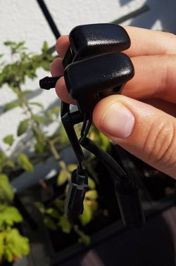 20170520_084158.jpg