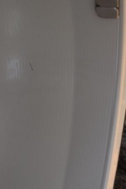 DSC_0237.JPG