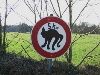 Baumburg5km.jpg