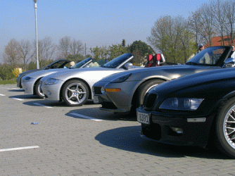 DSCN8294.gif