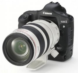 eos1ds.jpg