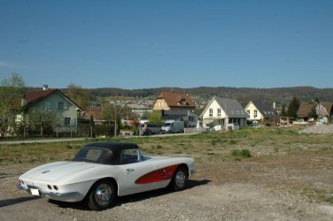vette.jpg