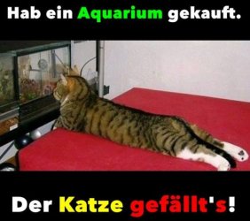 tAufzeichnen.JPG