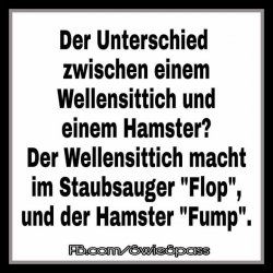 Unterschied.jpeg