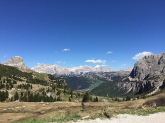 IMG_2522.JPG