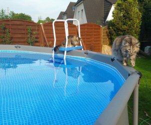 2017-05-30%2009.59.37.jpg