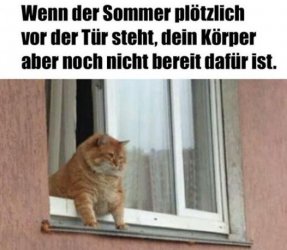 tAufzeichnen.JPG