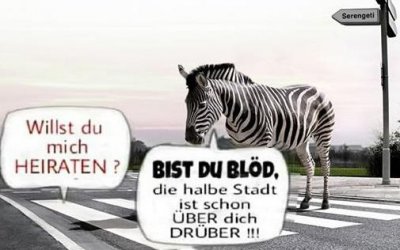 2Aufzeichnen.JPG
