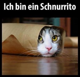 tAufzeichnen.JPG