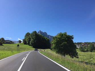 IMG_1130.jpg