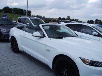 Mustang V8 Convertible 004.JPG