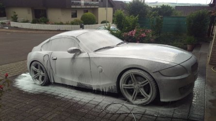z4schaum.jpg