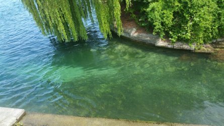 20170614_151058.jpg
