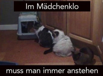 tAufzeichnen.JPG