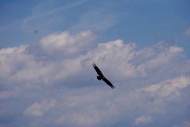 IMG_8509.JPG