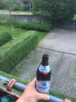 IMG_3518.JPG IMG_3518.JPG