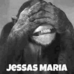 IMG_4793.JPG IMG_4793.JPG