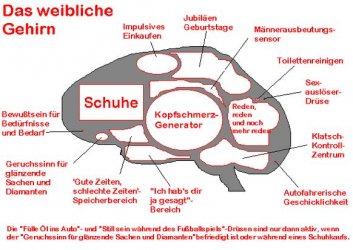 52Aufzeichnen.JPG