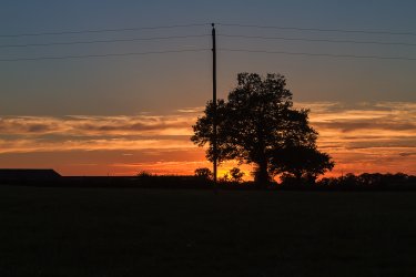 IMG_0370.jpg