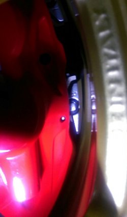 IMAG0444_1.jpg