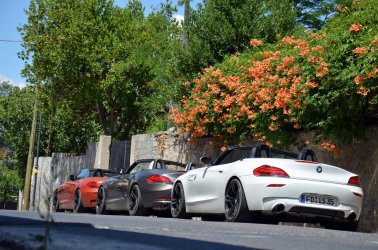 DSC_0169.JPG