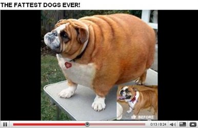 bb_monstroes_fett.jpg bb_monstroes_fett.jpg