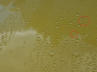 20170706_151312k.jpg