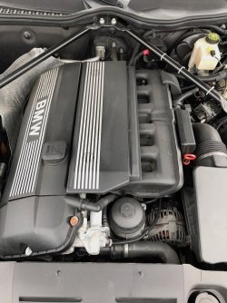 IMG_3698.jpg IMG_3698.jpg