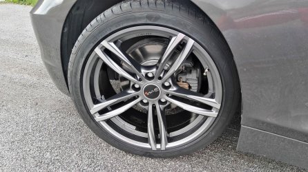 avus_1.jpg
