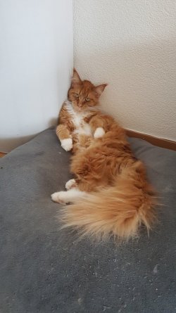 20170605_154955.jpg