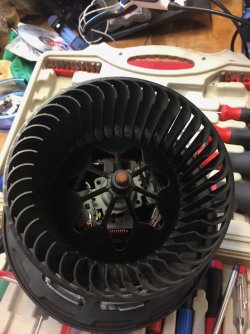 IMG_9336.jpg IMG_9336.jpg