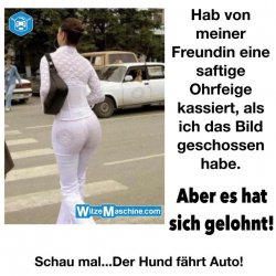 022b6852d2c21353380678a0c99cc323--funny-things-fails.jpg