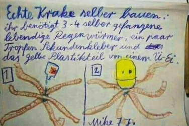 Foto 1.PNG