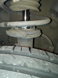 federbein.jpg federbein.jpg