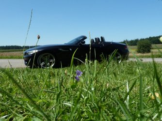 2017_0807_135231.JPG