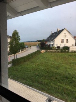 IMG_3533.JPG