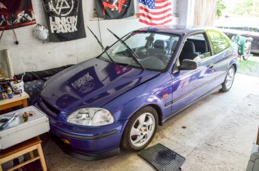 DSC_3535.jpg