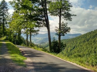 IMG_20170812_1532184 - Kopie.jpg