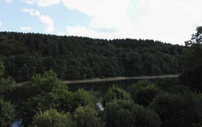 IMG_20170813_171755.jpg