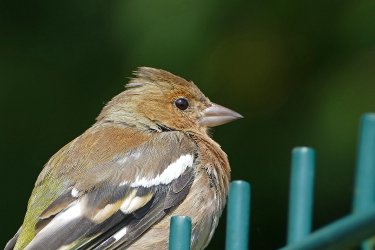 zr10549.jpg