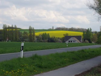 P4200093.JPG