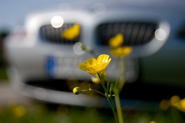 Z4_13.jpg