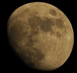 mond01.jpg