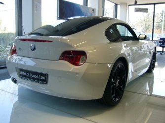 z4w.JPG