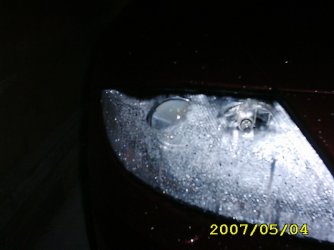 IMG_0800.jpg