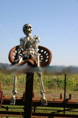 no lanz_skeleton_farmer.jpg